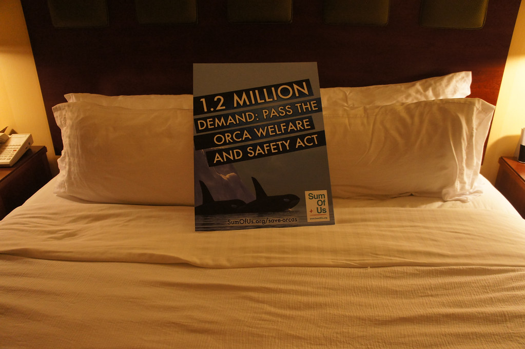 06 - The placard