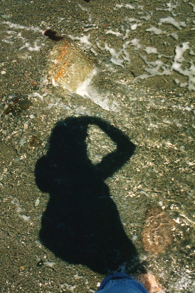 Shadow on the dulse